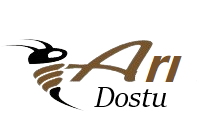 ARI DOSTU
