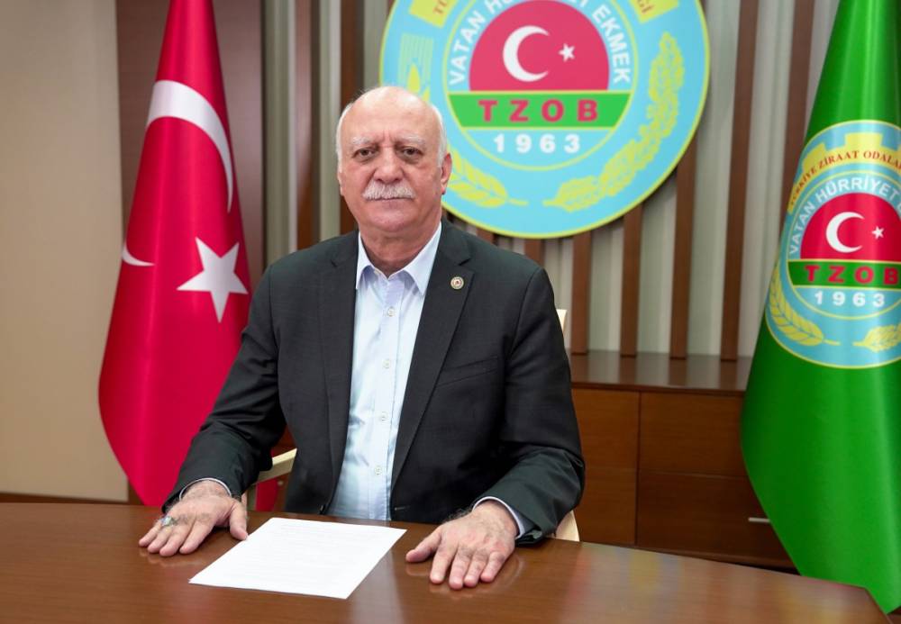 Zeytinyağında hile tam gaz devam ediyor  - Videolu Haber