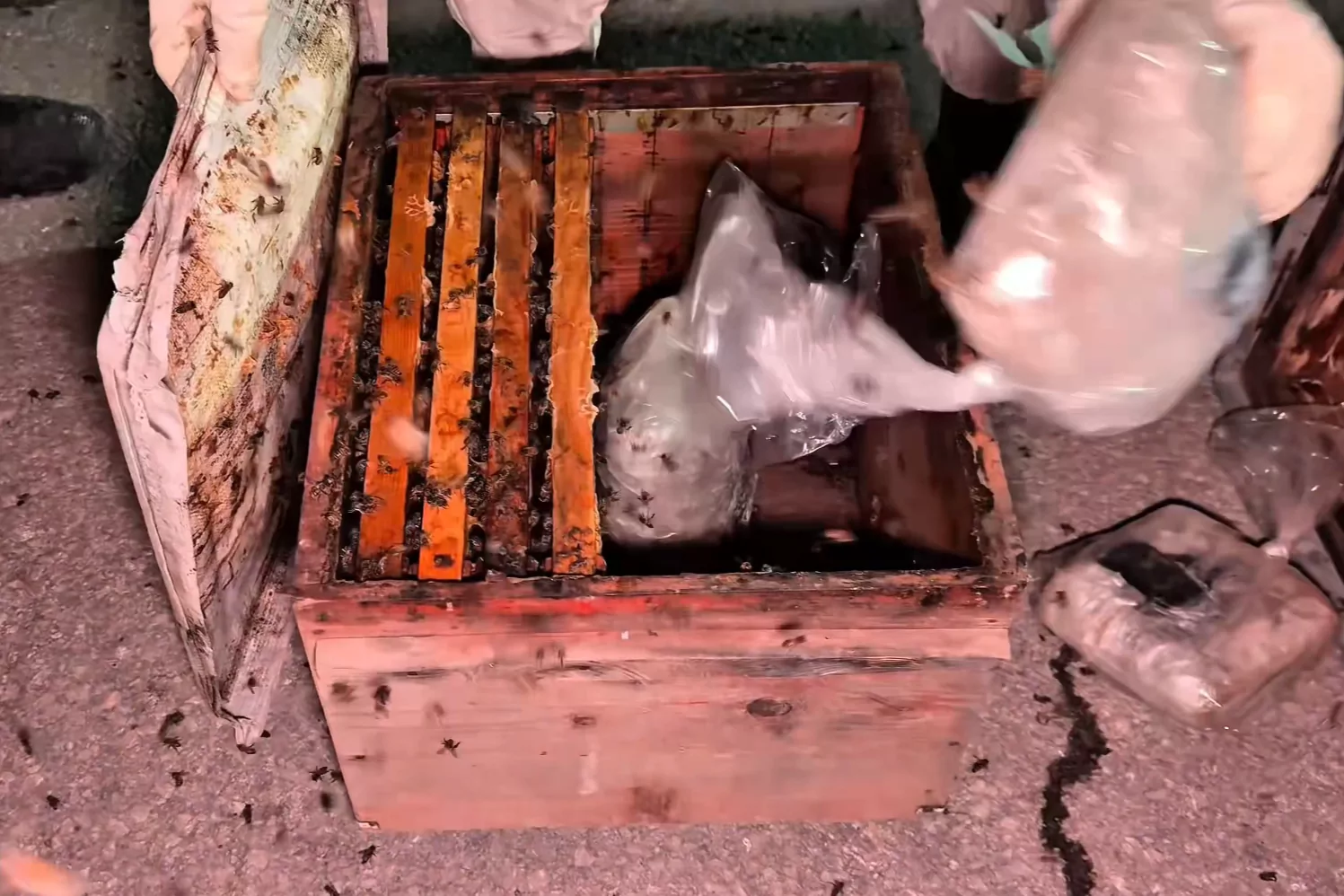 Arı kovanlarının arasından 91 kilo uyuşturucu &ccedil;ıktı