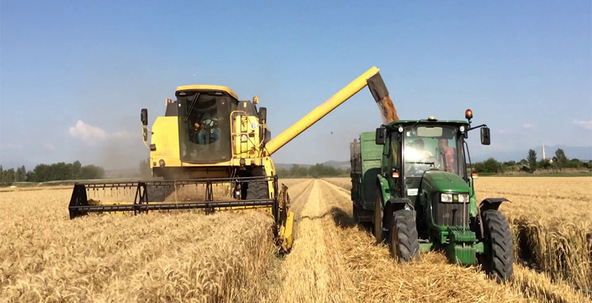 Bir kilo buğdayın üretim maliyeti 10 TL'yi geçti, çiftçi perişan!