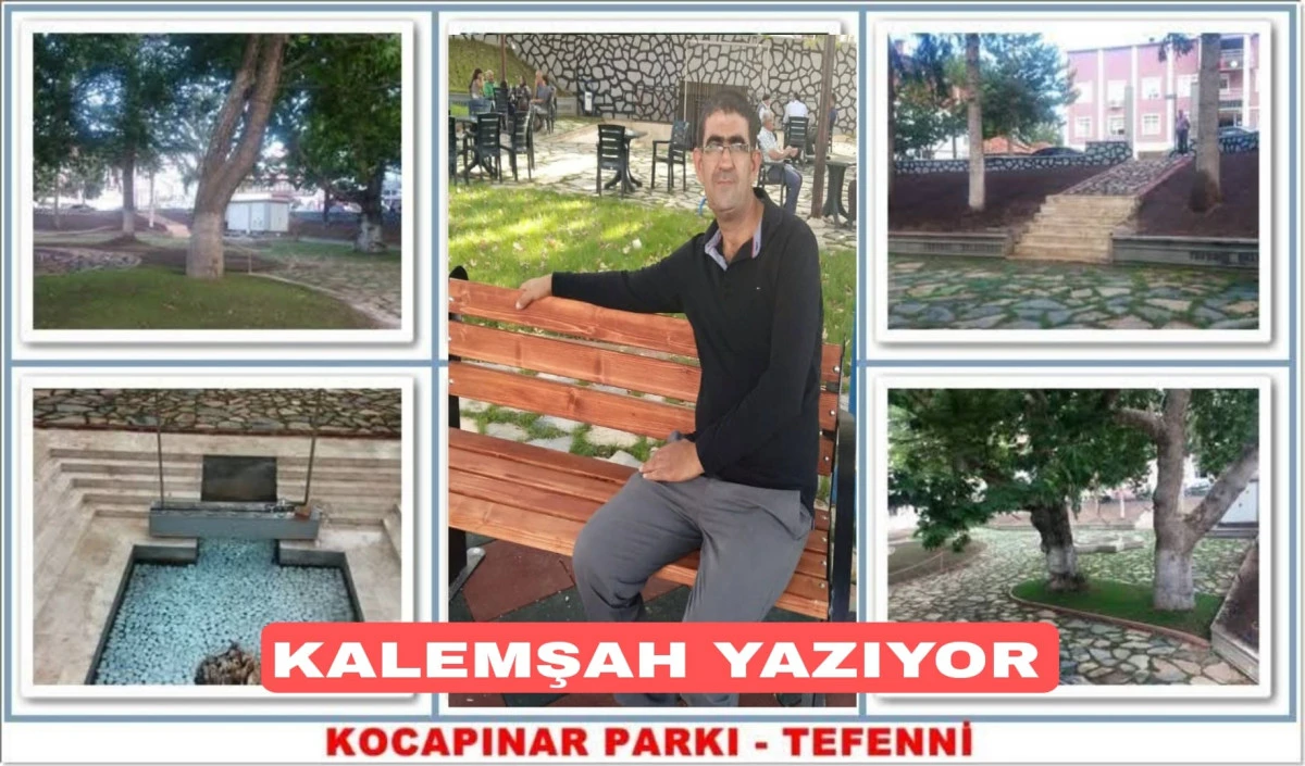 Kalemşah yazıyor... 