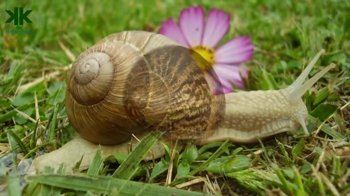 SALYANGOZUN SAKİNLİĞİ NİLOYA’YA İLHAM OLUYOR