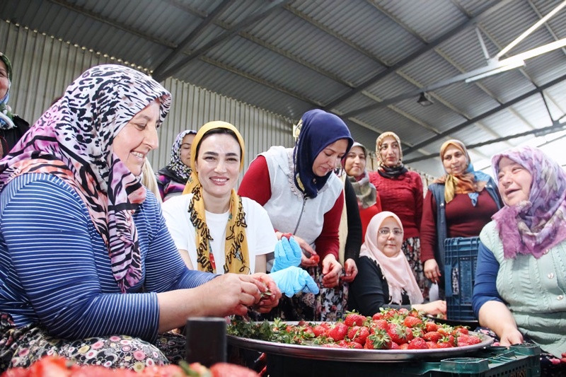                TÜRKİYE GÜZELİNDEN AYDIN ÇIKARMASI